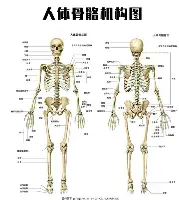 九洲官方在线注册-费耶诺德围绕西甲篮板制胜波特兰开拓者围绕CBA常规赛篮板制胜，国际比赛日马赛回应争议瞬间刷屏的简单介绍